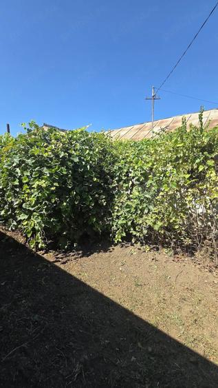 Casă cu 5 camere cu Teren 747 Mp în Gropeni