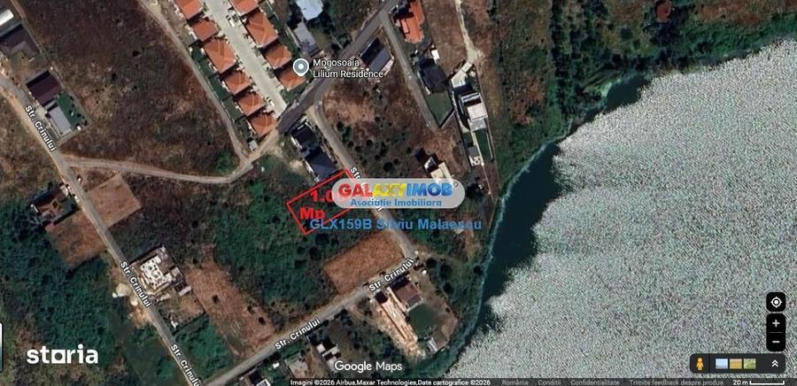 Mogosoaia 1.000 Mp str. Crinului - 5