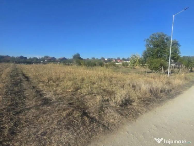 Teren 1000mp ,la intrarea in Filiasi - 1