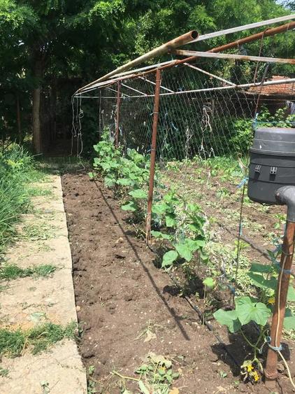 Casa de vanzare in Rosiori - 6