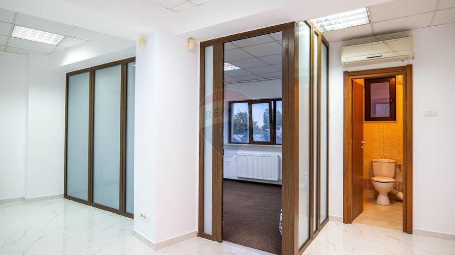 INVESTITIE - Vanzare vilă spatioasa cu S+P+2E+M, zona Doamna Ghica - 28