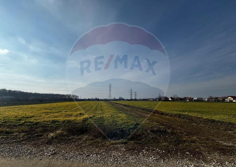 Teren 4,000mp Balotesti / Strada Rozelor - 6