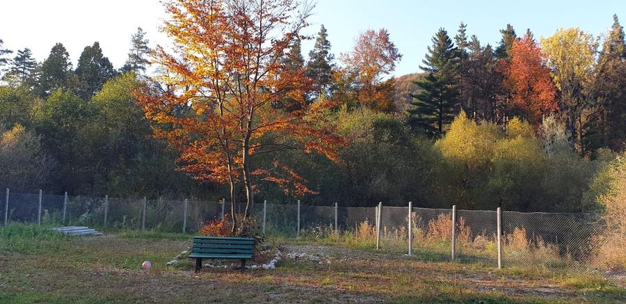 Teren rezidential Bunloc zona de case - 5