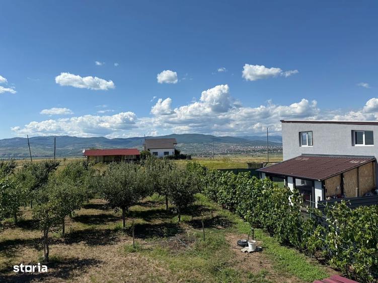 Cabana de lemn, 2 camere, teren 850 mp, livada, Oarda, Alba Iulia - 6