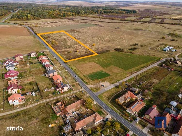 Teren ideal ca investitie, 19000 mp, in Pischia pe DJ691, comision 0 - 2