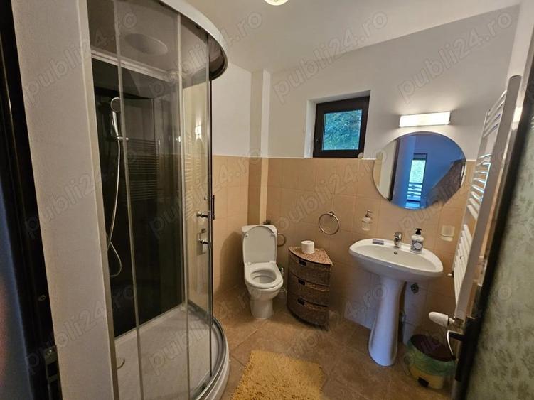 Casa de vacan?a de vanzare in comuna Bradule?, sat Bradetu, jude? Arge?. - 12