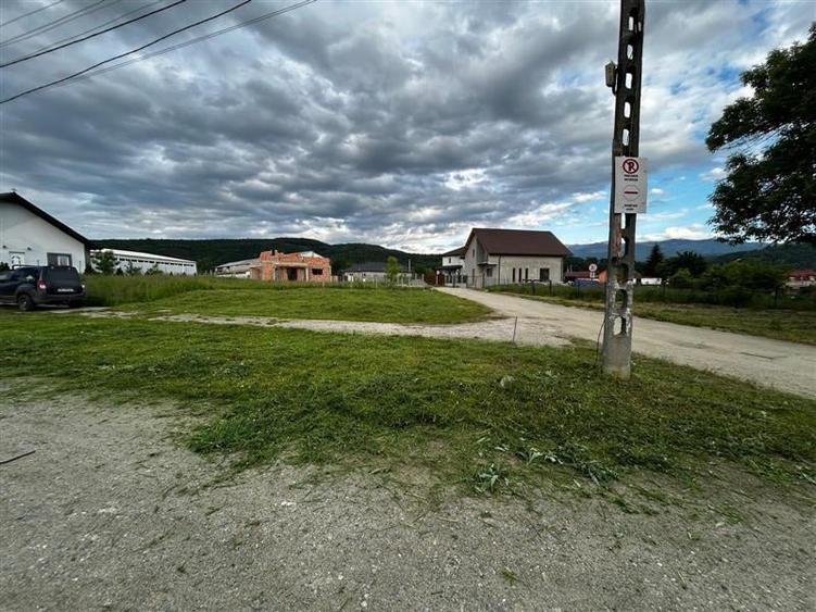 Teren  intravilan premium zona 0 in Talmaciu - 3