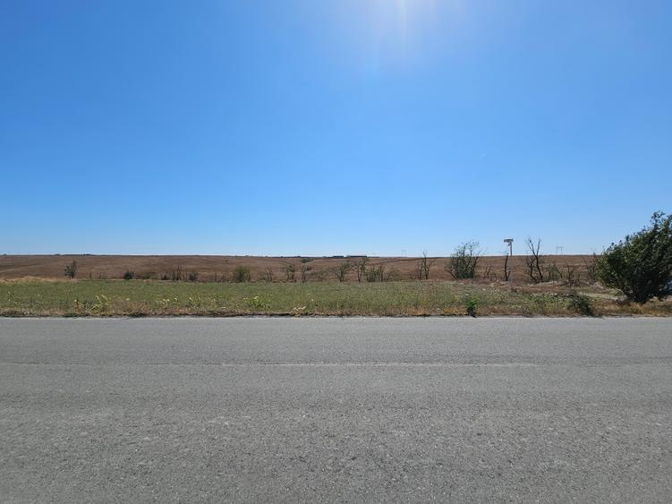 Teren Extravilan 10000 Mp Sibioara Constanta - 3