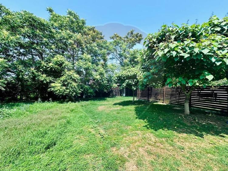 Teren 1537mp cu Livada si Iesire la Lac in Niculesti-Dambovita - 13