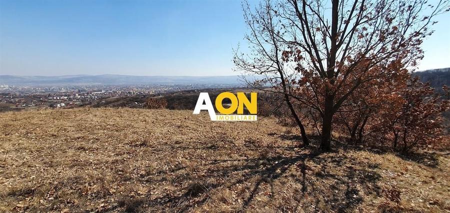 Teren ideal pentru cabana 4165 mp langa padure zona Valea Popii - 3