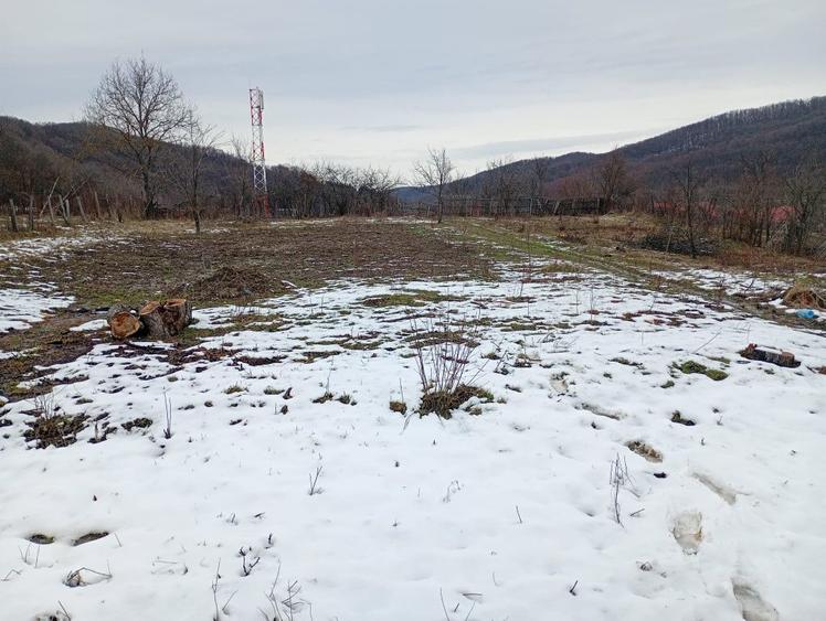 Vand casa cu fanar plus livada - 7