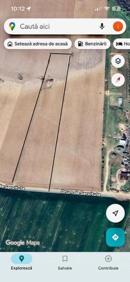 Teren de vanzare ciolpani padurea scrovistea - 1