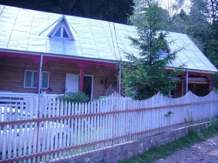 Lepsa Vrancea ,zona retrasa linistita si sigura,cabana si teren de vanzare - 9