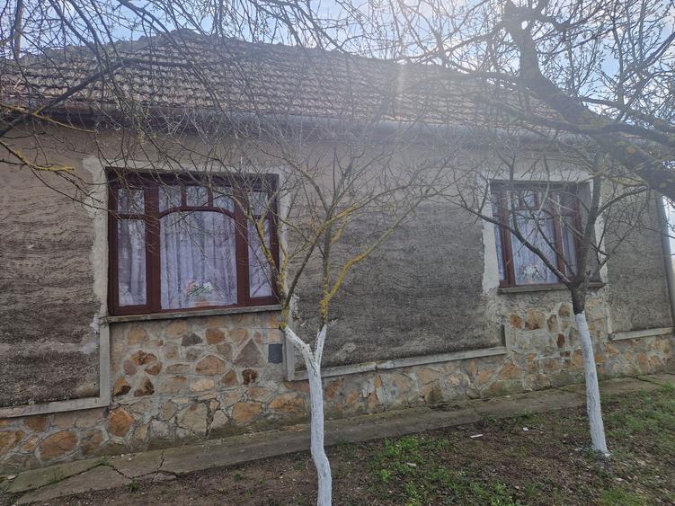 Casa de vanzare in Turnu jud Arad - 1