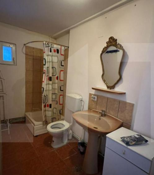 Casa cu teren generos, zona Intim Arad Ideal rezidential - 10