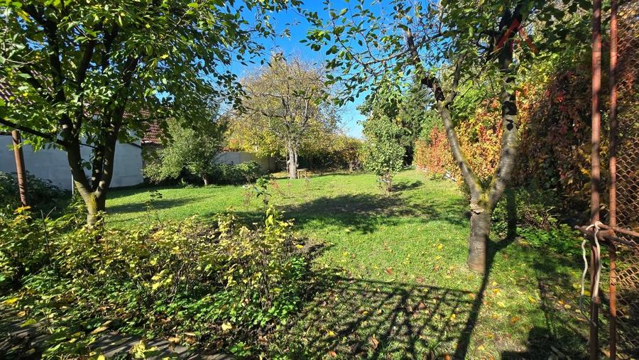 COMISION 0! Casa individuala cu 925 mp teren de vanzare in Piata Cluj - 19