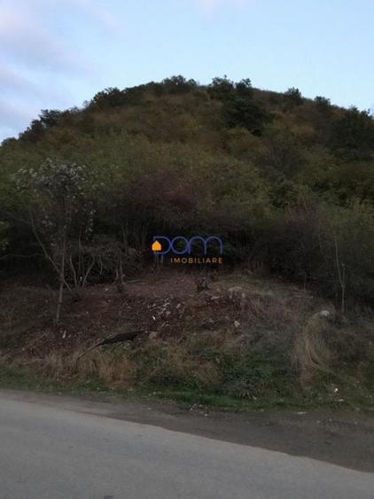 Teren intravilan Baile Herculane - 2