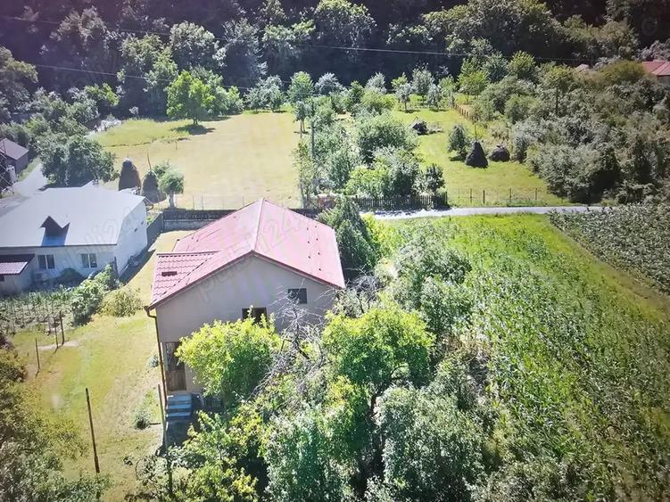 Vand casa vacanta la munte zona Herculane 165 000 - 7