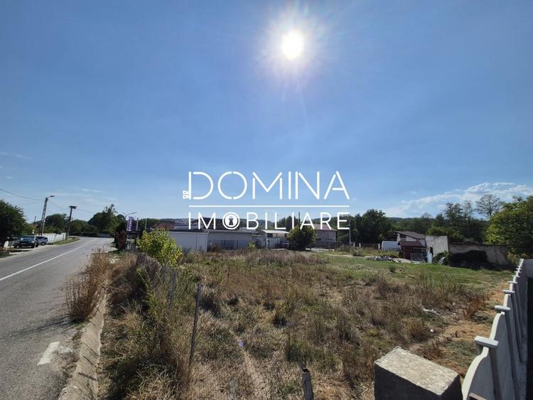 Teren de vanzare in Ursati, pretabil constructii rezidentiale  si comerciale - 3