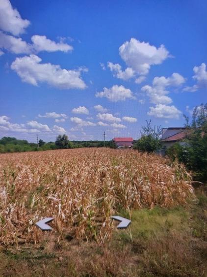 Snagov Ghermănești 4000 Mp Teren de v&acirc;nzare L3 S+P+1E+M LIDL Ieșirea Spre A3 - 18