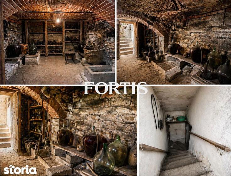 Casa de vanzare in Fagaras, zona 13 Decembrie 0% COMISION - 11