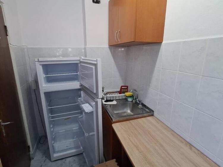 Titan, Theodor Pallady, 1 Decembrie 1918 - 10