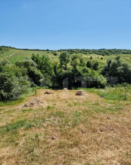 Teren intravilan, ideal constructie casa, 12 ari in zona Va - 10