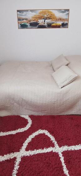 Inchiriez apartament - 11