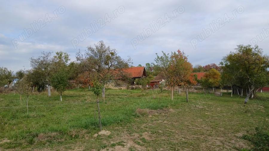 Loc de casa cu livada ?i corp de cladire - 9