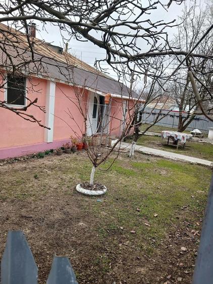 Vand casa locuibila cu inbunatatiri - 3
