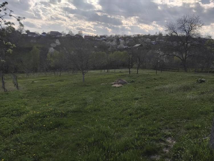 Vand casa in Poiana Cristei - 2