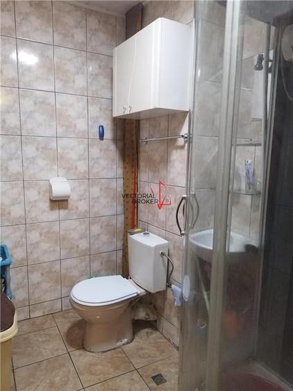 4 Camere Pantelimon - Armenesc, 1984 - 9