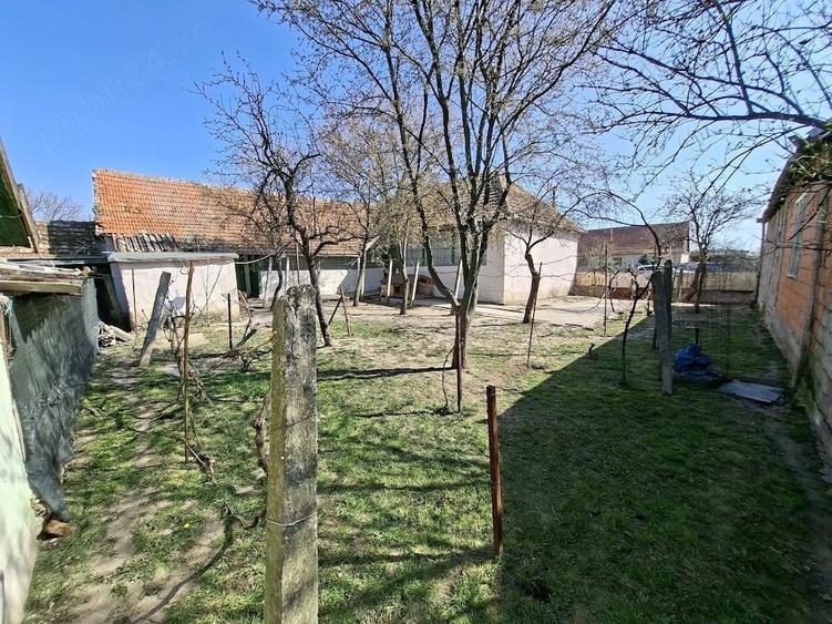 Casa pe colt de vanzare localitatea Birda - 8
