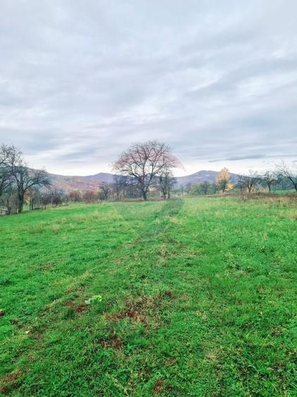 Teren intravilan  7370 mp in comuna Mera - 5