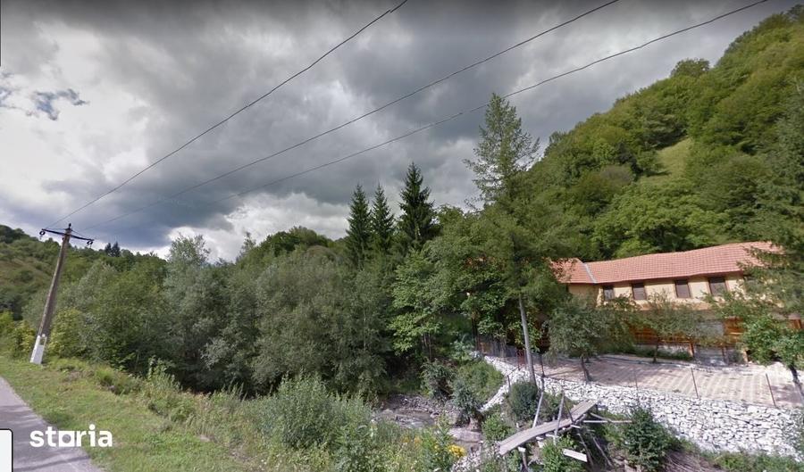 Teren de 32000 mp, în Rusca