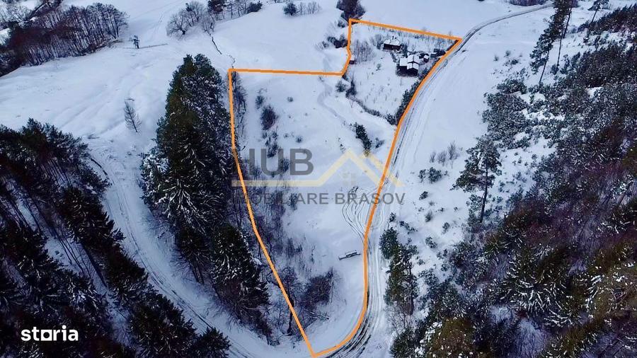 Teren cu PUZ - Tabara de Vacanta + Constructie Tiny Hous | 10 Cabane - 6