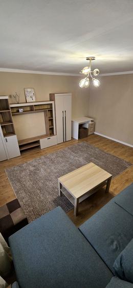 Apartament 1 camera renovat, mobilat nou, centrala gaz, Timocului,330 - 5