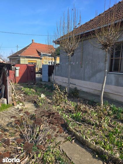 Casa zona str. Botizului - 4