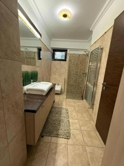 Herastrau Kiseleff Ap 3 cam deosebit - 9