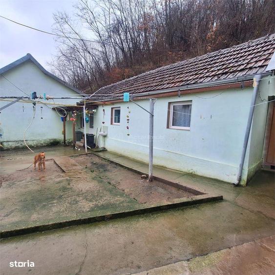 BOCSA Montana, Casa Cocheta cu curte . - 10