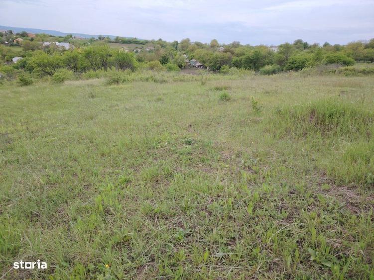 Teren intravilan, Ciurbesti, vedere la lac - 5