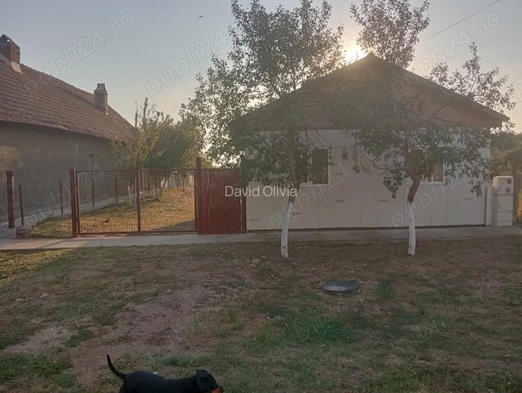 Proprietar vind casa in Hodoni jud Timi?, 17 km de Timi?oara,pre?.72000 Euro Proprietar vind casa in Hodoni jud Timi?, 17 km de Timi?oara,pre?.72000 Euro