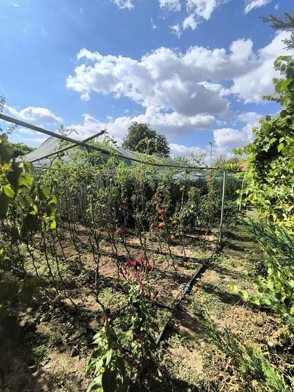 Vand casa in Ciorani - 4