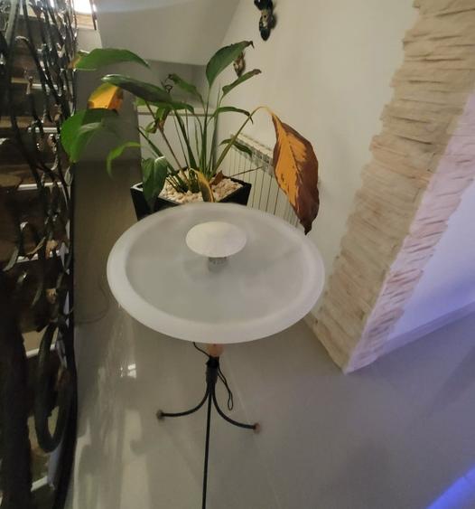 Localitatea Lumina - Central - Vila P+1 - constructie caramida - 742 mp teren - 36