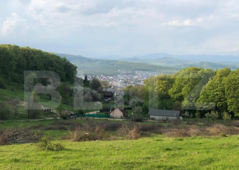 Teren extravilan de vanzare, 740 mp, zona Taberei - 3
