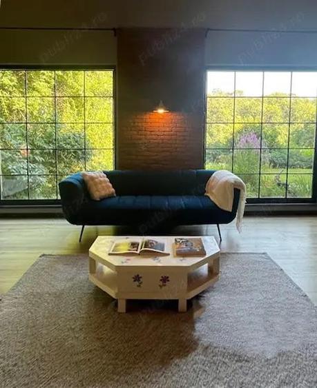 Vila unica pe malul lacului Scrovistea - 7