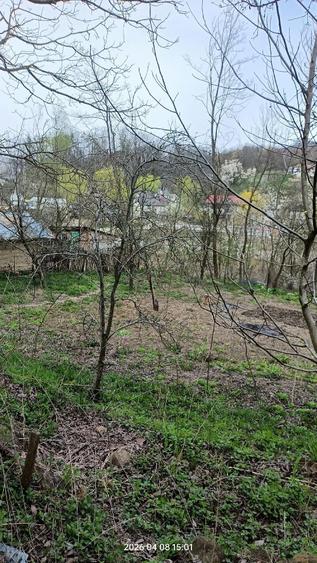 Vand casa com Bozioru 4660 mp teren - 5