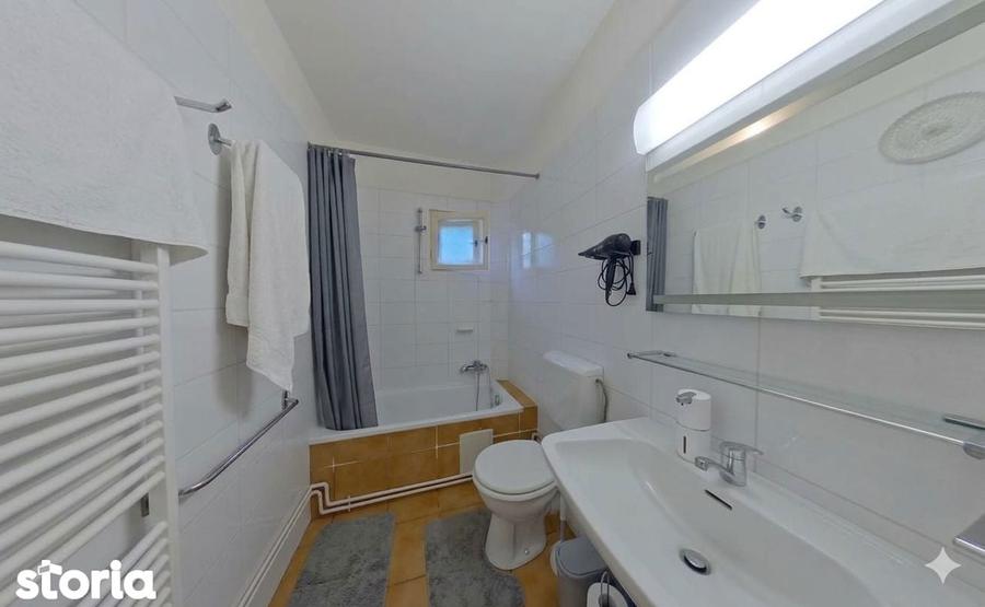 Vila pe lac cu vedere la padure - Pasarea - Branesti - 19