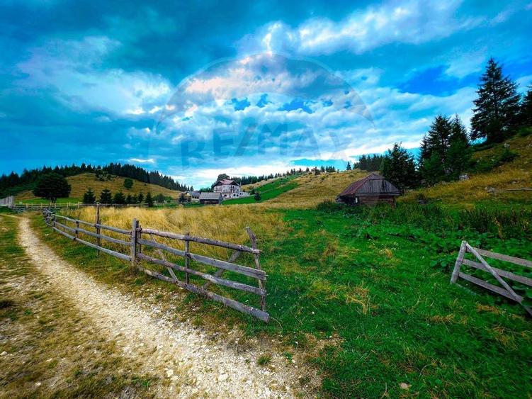 Teren de 7830mp de vanzare in Fundata! Comision 0% - 30