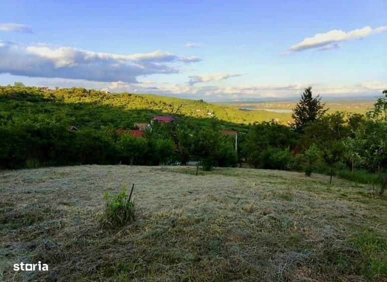 Teren Intravilan Podgoria - 8